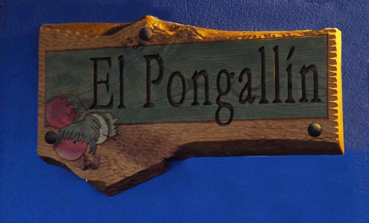 El Pongallin Ideal Para Familias V Vacacional 268 Sevares 外观 照片